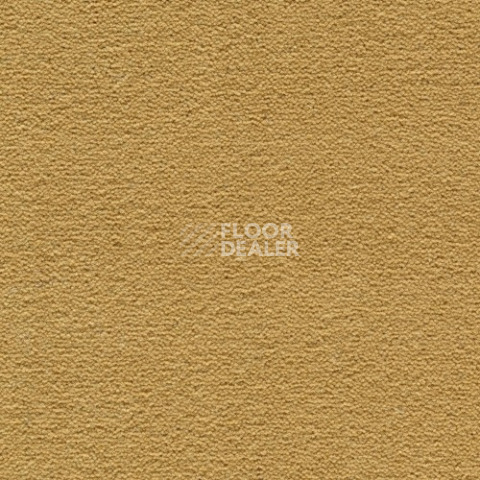 Ковролин Creatuft Sheba 1090 Gold 4+5m фото 1 | FLOORDEALER
